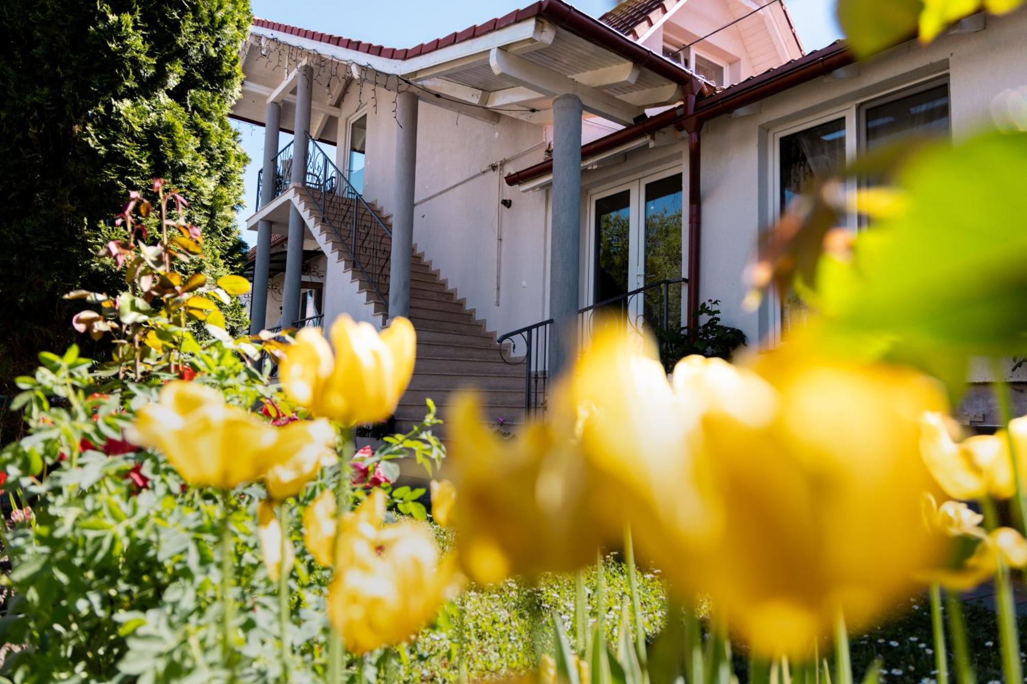 Green Garden Avrig Exterior foto